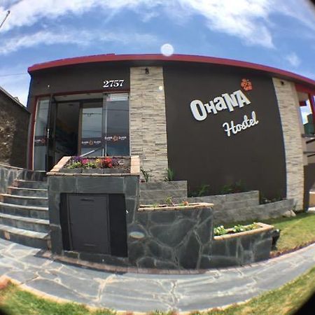 Ohana Hostel Mar del Plata Dış mekan fotoğraf